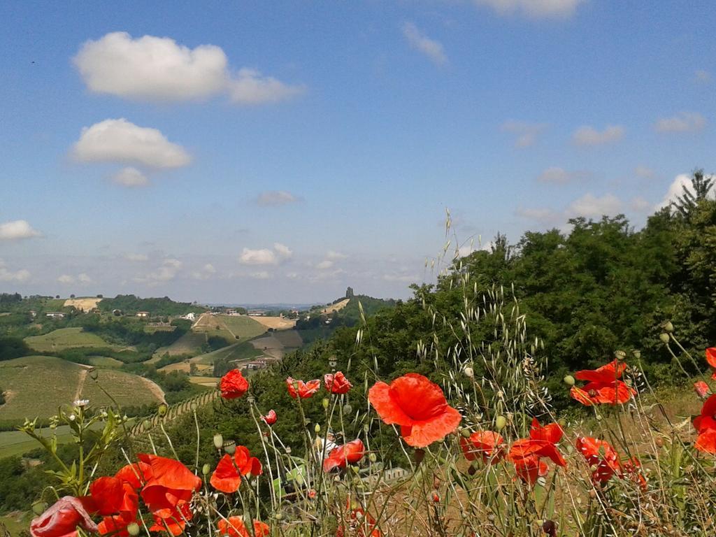 Ca D' Rot - Casa Ratti Guest House Vinchio Eksteriør bilde